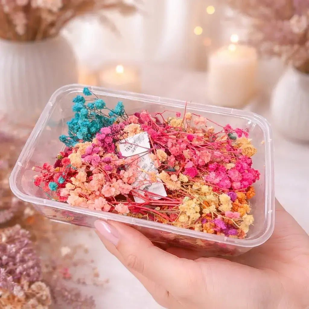 Dry flower box multi colour