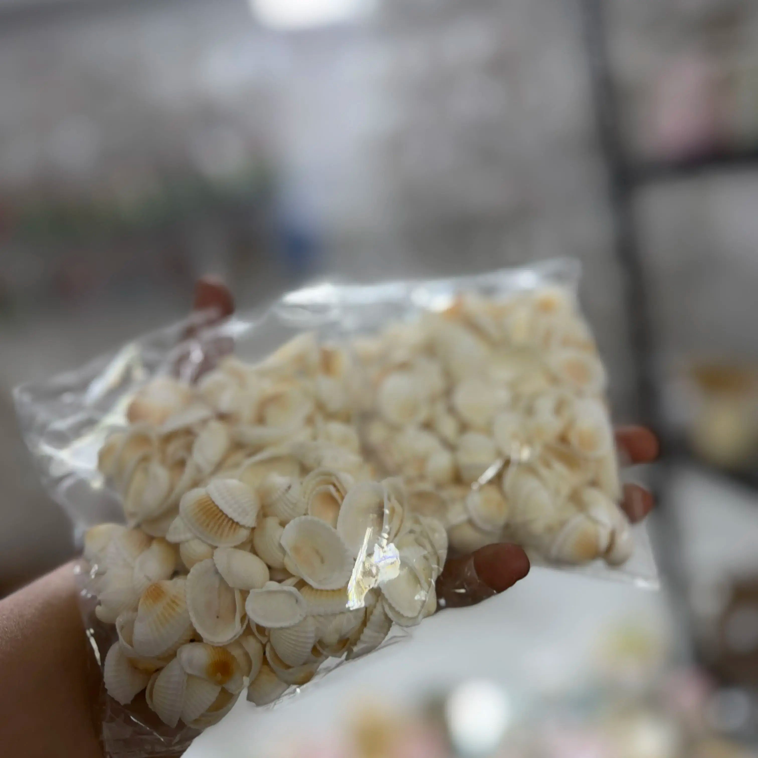 100 grm shell for jar candle decoration