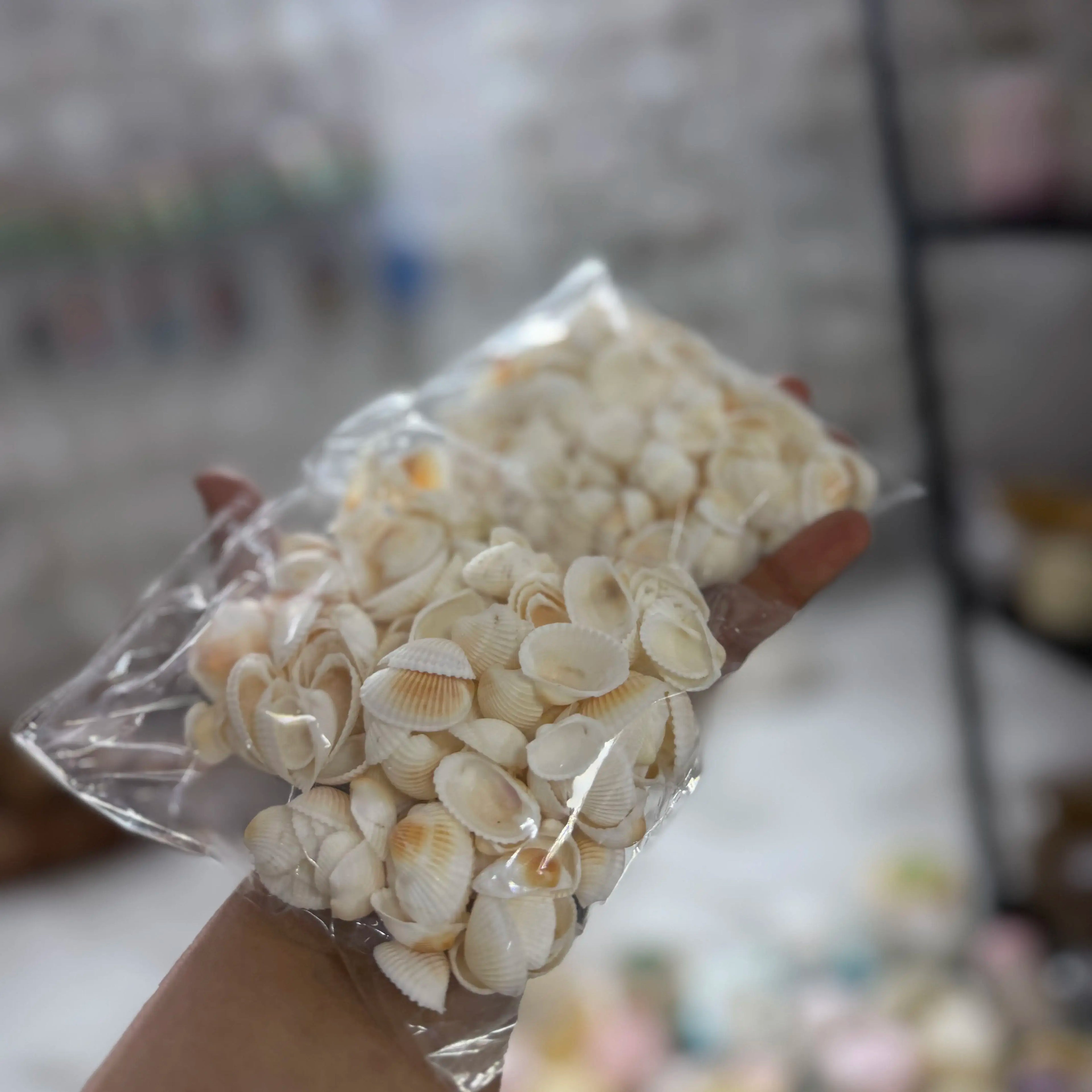 100 grm shell for jar candle decoration