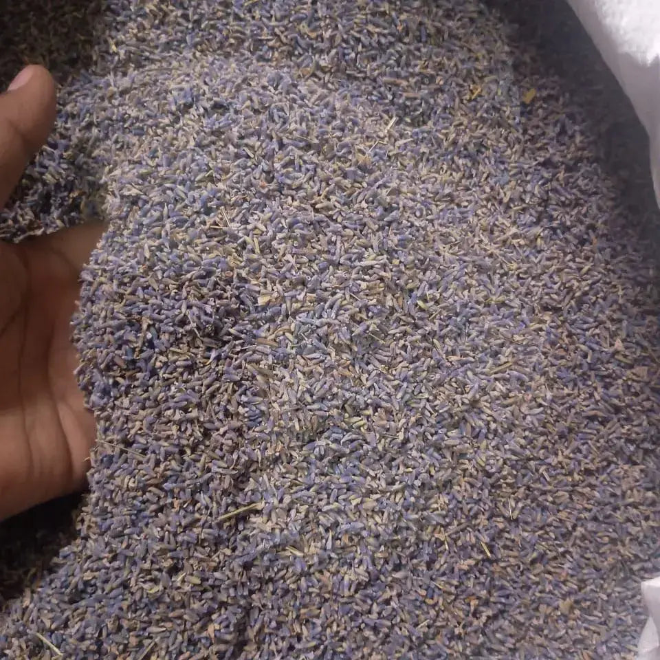 25 grm dry Kashmiri lavender for candle decoration