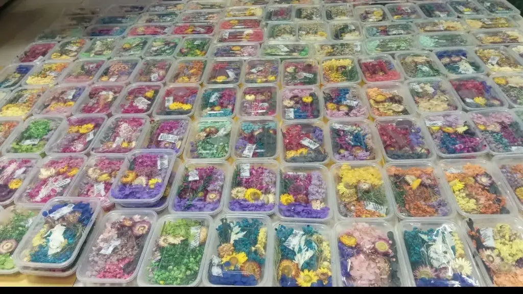 Dry flower for candle making decoration