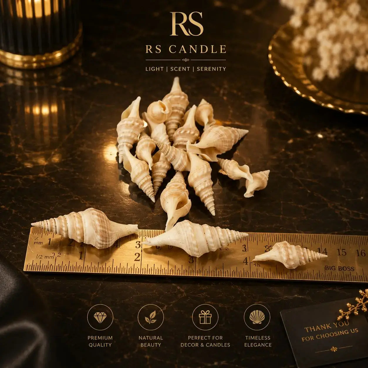 100 grm real sea shell