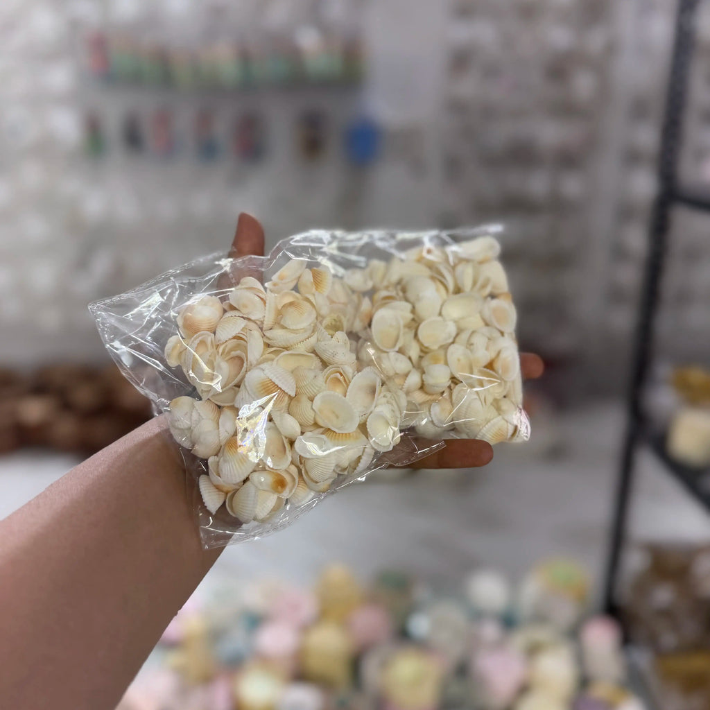 100 grm shell for jar candle decoration
