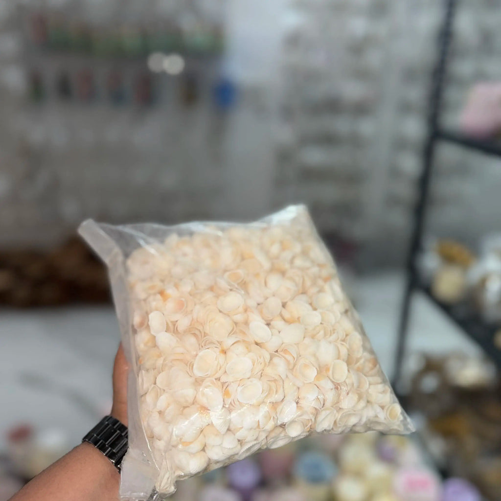 100 grm shell for jar candle decoration