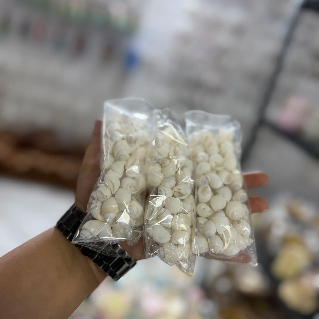 100 grm white shell for candle decoration