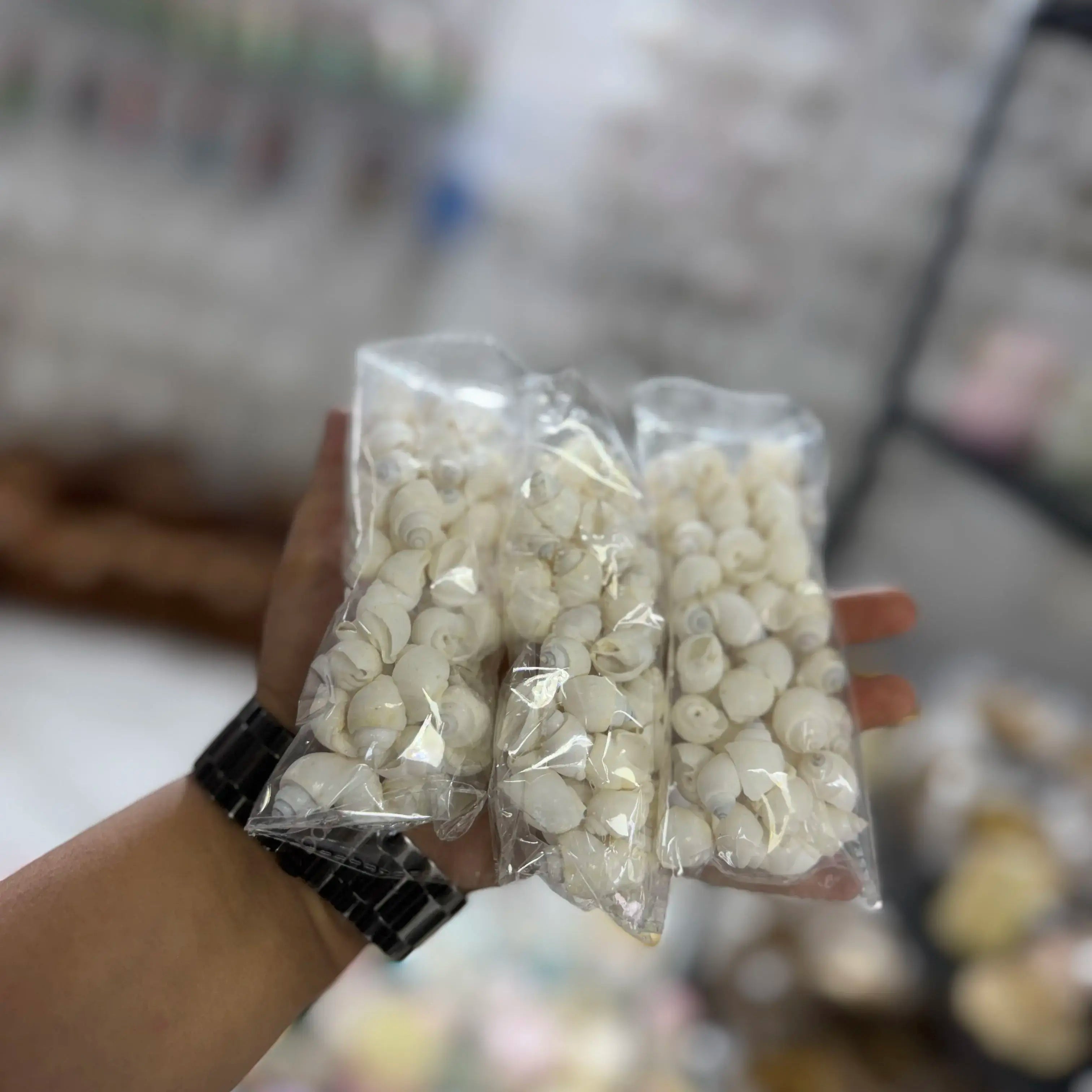 100 grm white shell for candle decoration
