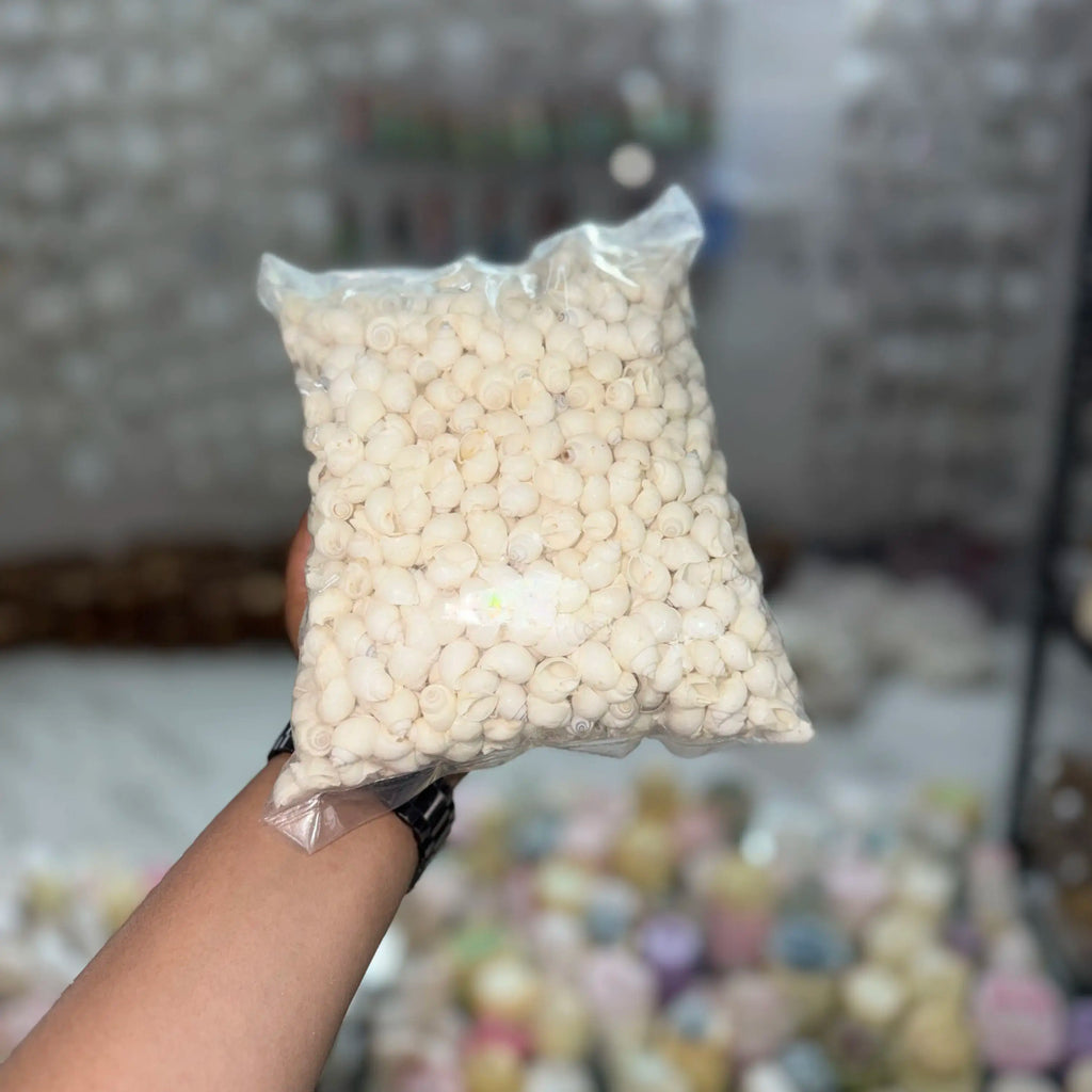 100 grm white shell for candle decoration