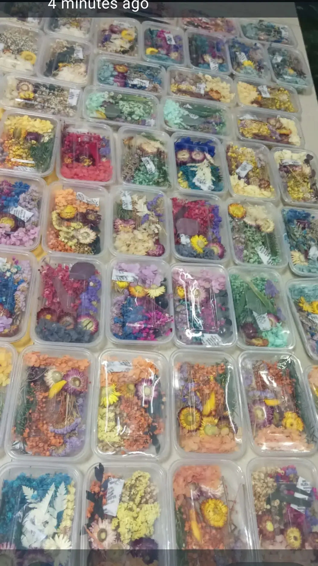 Dry flower for candle making decoration