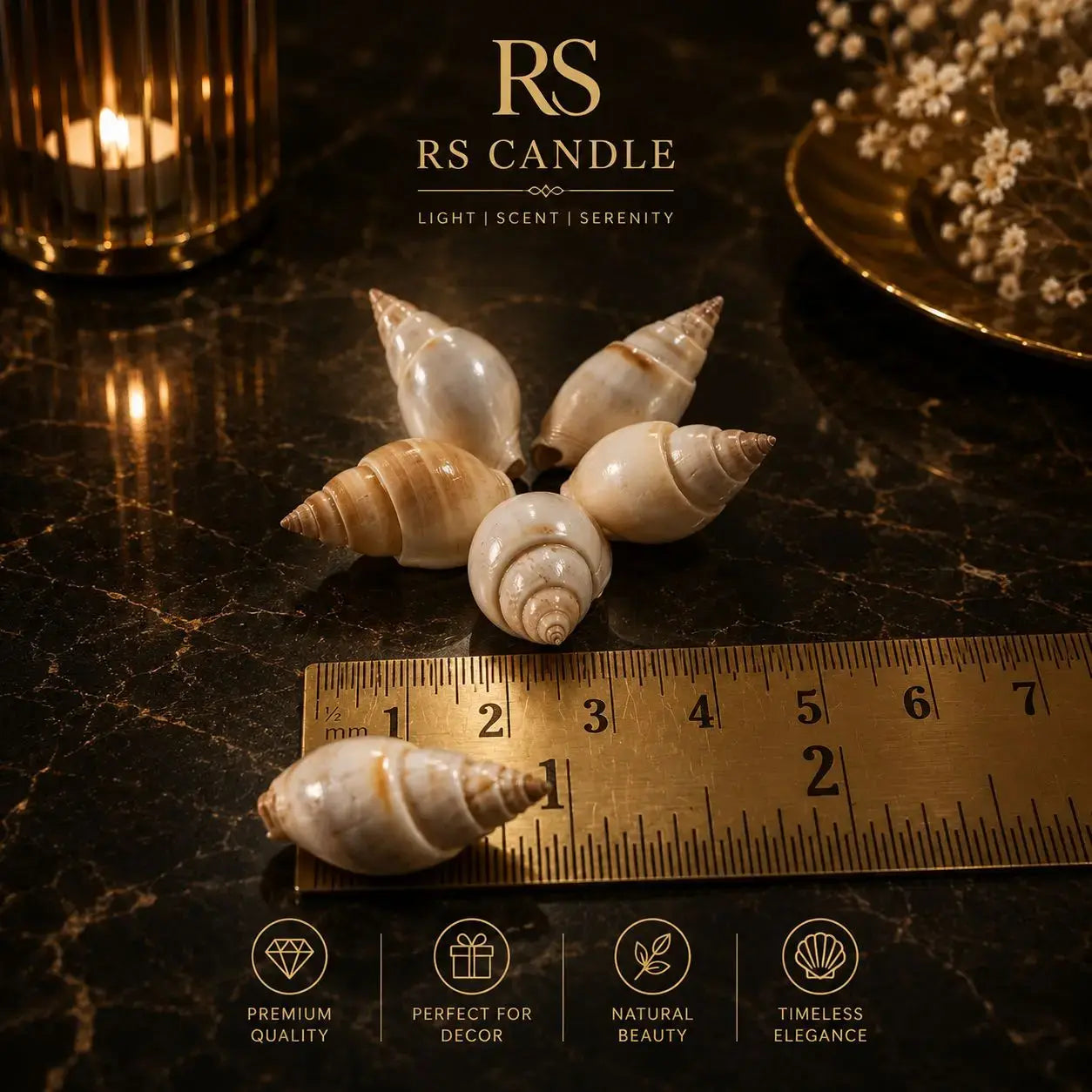 100 grm real sea shells