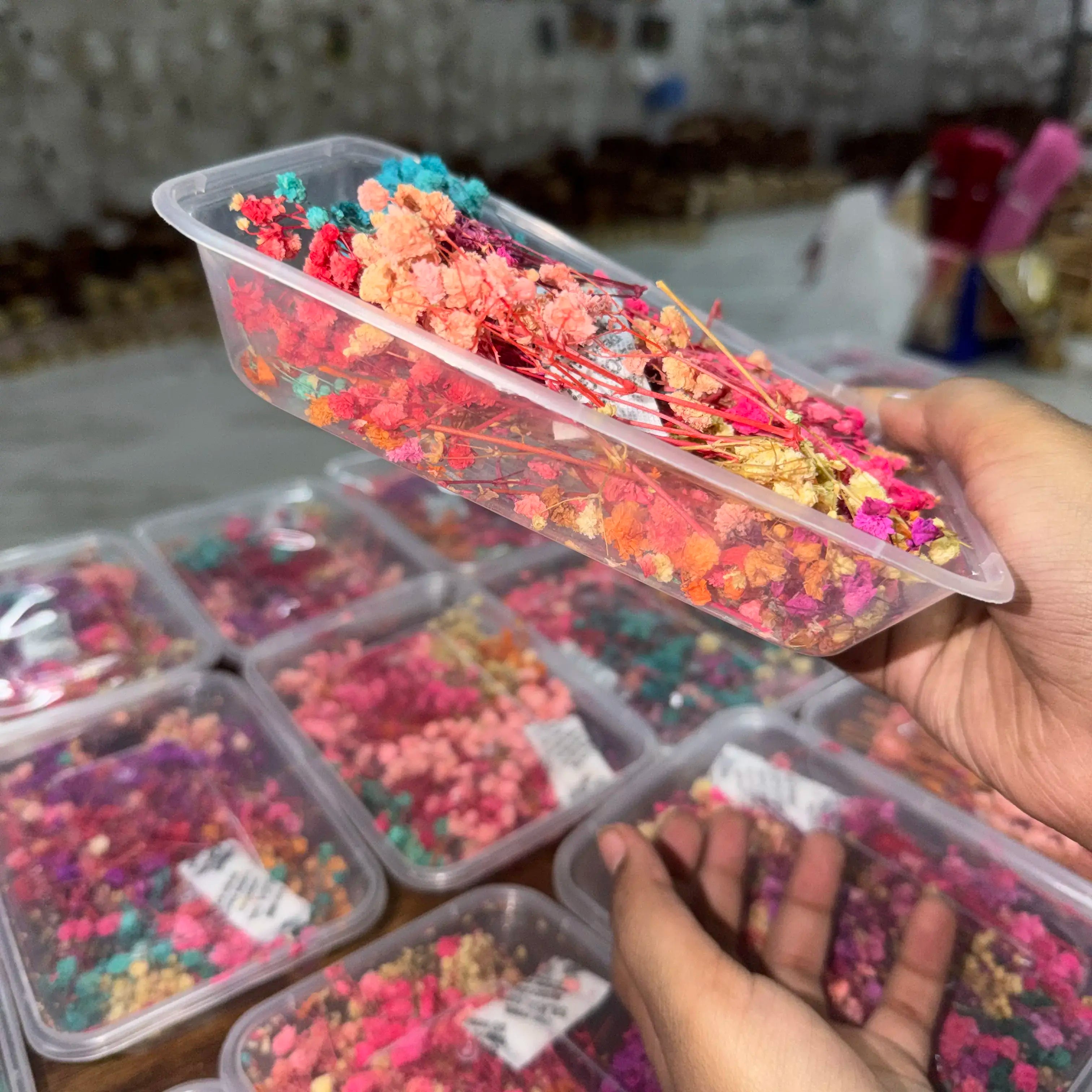 Dry flower box multi colour