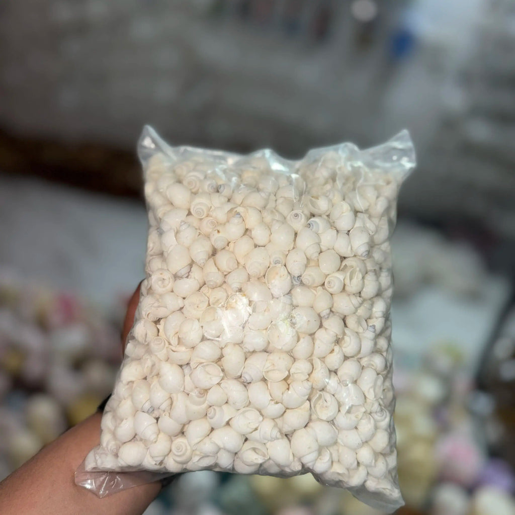 100 grm white shell for candle decoration